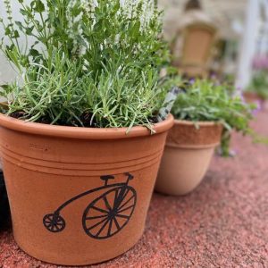 penny farthing pot